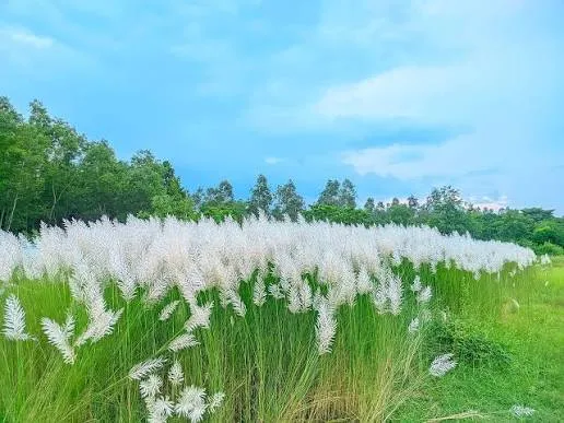 ব্যাংকের ব্র্যান্ডিং: আমার যত অভিজ্ঞতা
